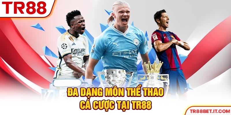 Đa dạng môn thể thao cá cược tại TR88